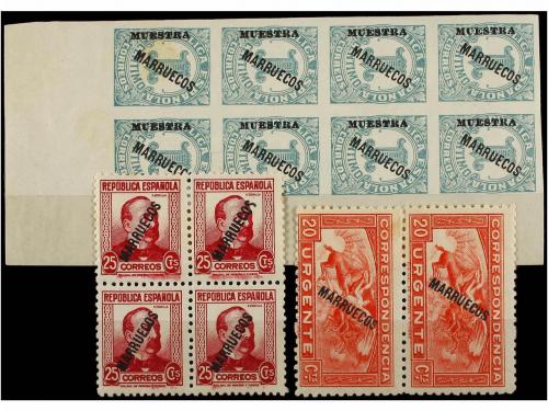 Lote 1013
