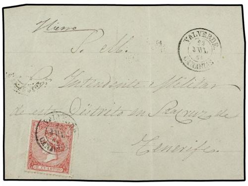 Lot 195