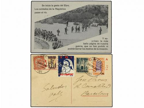 Lote 4295