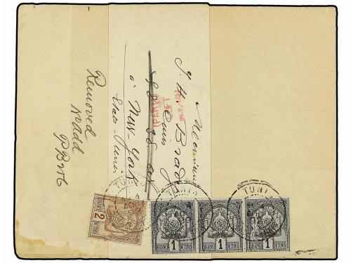 ✉ TUNEZ. 1892(Aug 4). Newspaper wrapper with contents used t