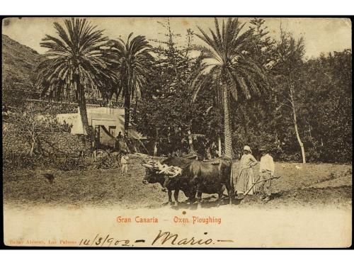 ✉ ESPAÑA. 1902. LAS PALMAS a TURIN (Italia). Tarjeta postal,