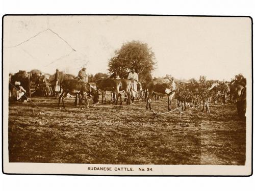✉ SUDAN. 1930 (13-2). ON THE NILE to LONDON. Postcard franke