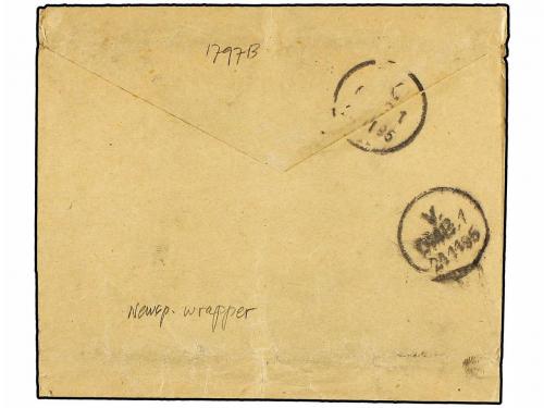 ✉ BRASIL. 1895. STA. CATHARINA a DINAMARCA. Faja de Prensa d