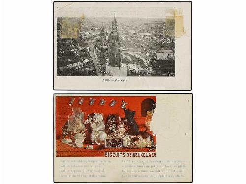 ✉ BELGICA. 1909. 2 tarjetas postales circuladas a TAMISE tas