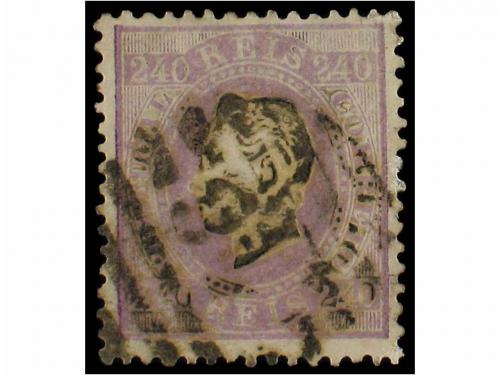 Lot 1646