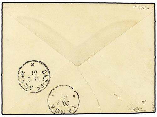 ✉ AFRICA ORIENTAL ALEMANA. 1901 (Feb 9). Cover to TANGA fran