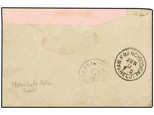 ¿ HAWAI. 1884 (June 1). Cover to the Government Printer in P