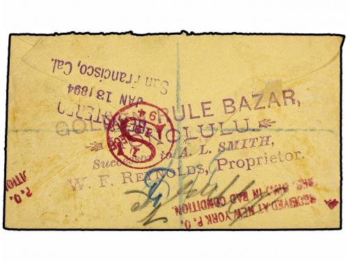 ¿ HAWAI. 1894 (Jan. 2). Registered / AR cover to GERMANY fra
