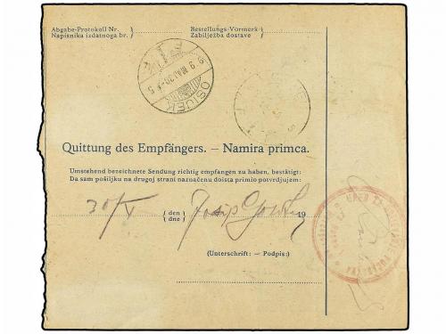 ✉ BOSNIA-HERZEGOVINA. 1919. PARCEL RECEIPT. SARAJEVO to OSIE