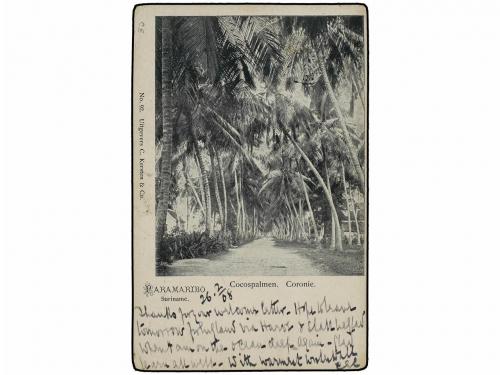 ✉ SURINAM. 1908 (27 Febrero). PARAMARIBO a MANCHESTER (GB). 