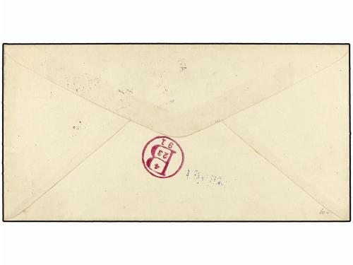 ✉ REPUBLICA DOMINICANA. 1891. SANTO DOMINGO a NEW YORK. Ente