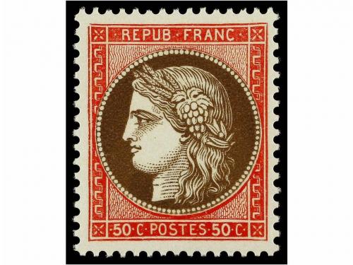 Lote 801