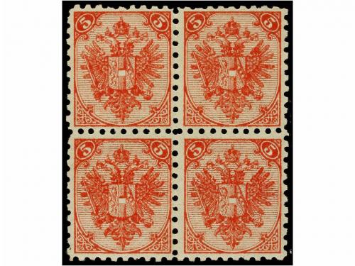 Lot 31