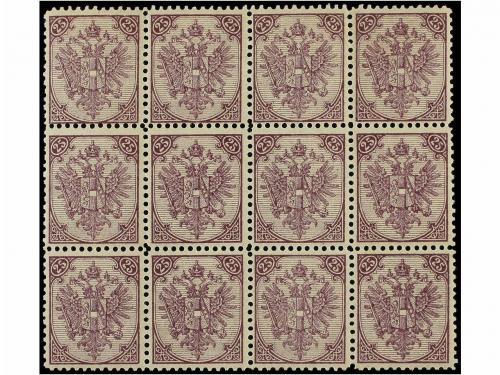 Lot 35