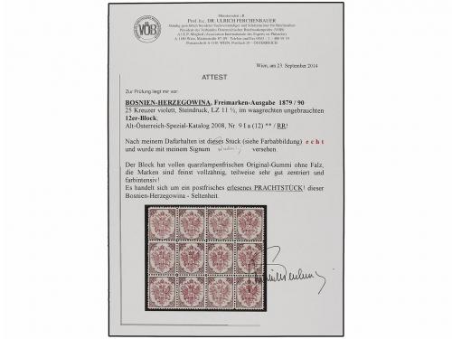 ** BOSNIA-HERZEGOVINA. Fe. 9 I (12). 1879. 25 kr. violet, pe
