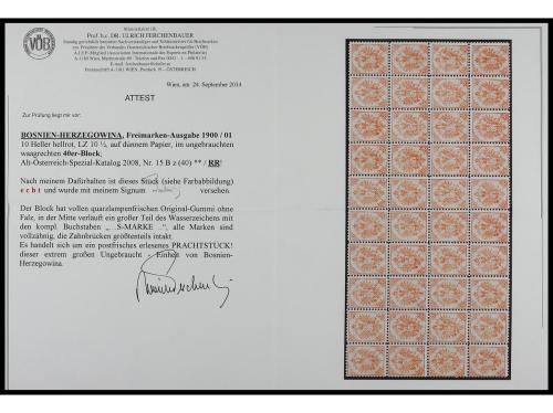 ** BOSNIA-HERZEGOVINA. Fe. 15 Bz (40). 1900. 10 heller red, 