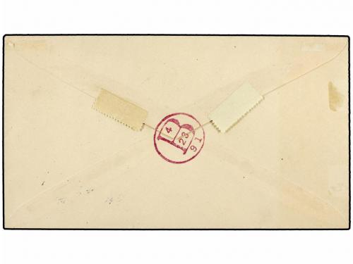 ✉ REPUBLICA DOMINICANA. 1891. SANTO DOMINGO a NEW YORK. Ente