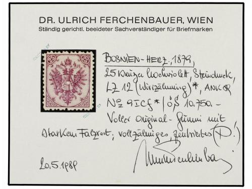 * BOSNIA-HERZEGOVINA. Fe. 9If. 1879. 25 kr. deep violet (hoc