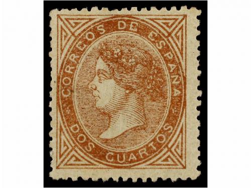Lote 181