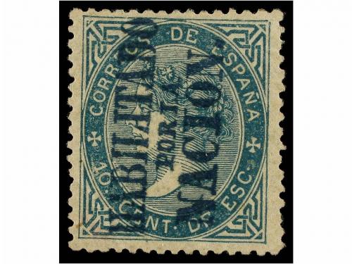 Lote 206