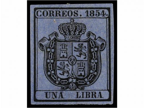 Lote 113