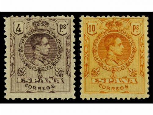 Lote 406