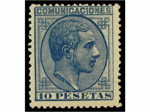 Lote 331