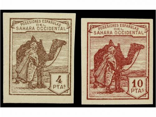 Lot 1537