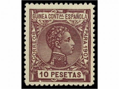 Lot 1354