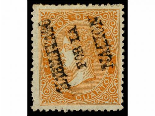 Lote 229