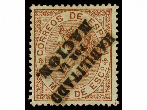 Lote 221
