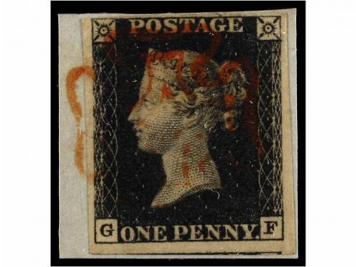 Lote 3181