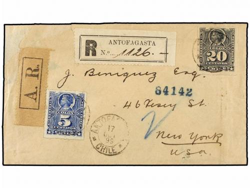 Lote 2338