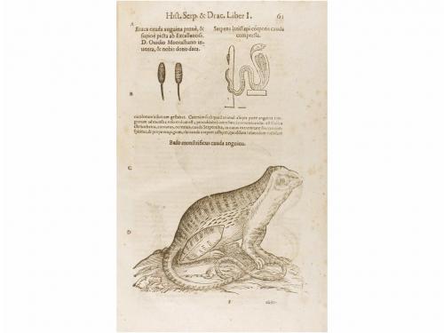 1639. LIBRO. (HISTORIA NATURAL). ALDROVANDI, ULISSIS:. HISTO