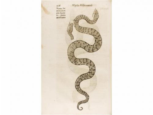 1639. LIBRO. (HISTORIA NATURAL). ALDROVANDI, ULISSIS:. HISTO