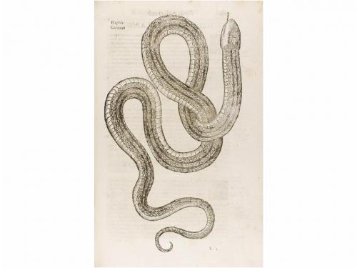 1639. LIBRO. (HISTORIA NATURAL). ALDROVANDI, ULISSIS:. HISTO