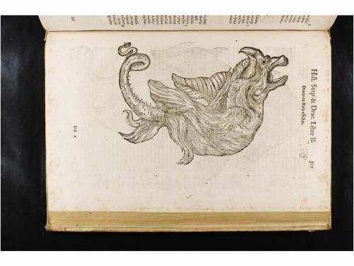 1639. LIBRO. (HISTORIA NATURAL). ALDROVANDI, ULISSIS:. HISTO