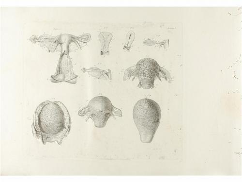 1842. LIBRO. (MEDICINA). MOREAU, J:. ENCICLOPEDIA DE MEDICIN