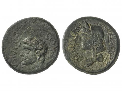 IMPERIO ROMANO. AE 20. Acuñada el 37-41 d.C. CALIGULA. TESAL