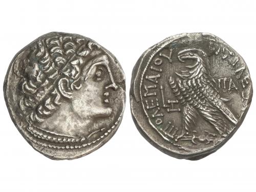 MONEDAS GRIEGAS. Tetradracma. 97-96 a.C. PTOLOMEO X ALEXANDE