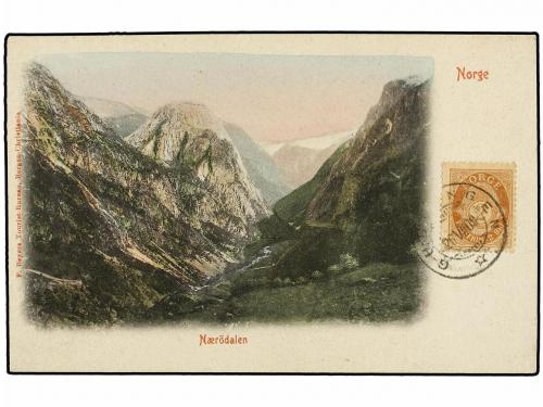 ✉ NORUEGA. 1909. Postcard of NAERODALEN franked with NORWAY 