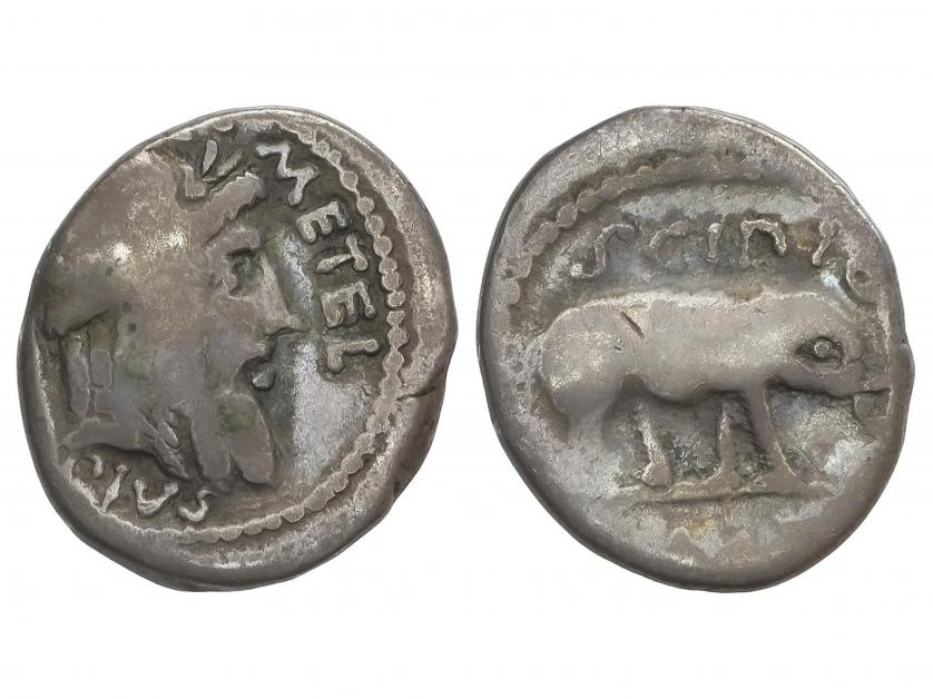 REPÚBLICA ROMANA. Denario. 47-46 a.C. CAECILIA. Q. Caecilius